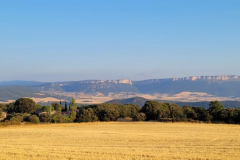 Estella to Los Arcos