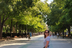 Pamplona