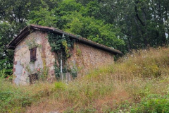 2022-08-08-23.26.43